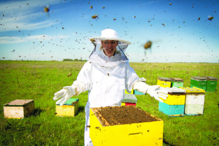 Bee No More: Population Decline and Soil Health Image